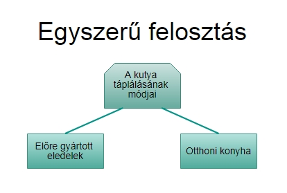 Kutyák etetésének felosztása